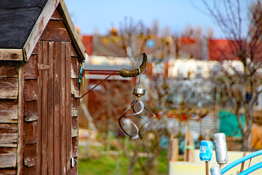 Grass access path at Eastney Lake allotments.