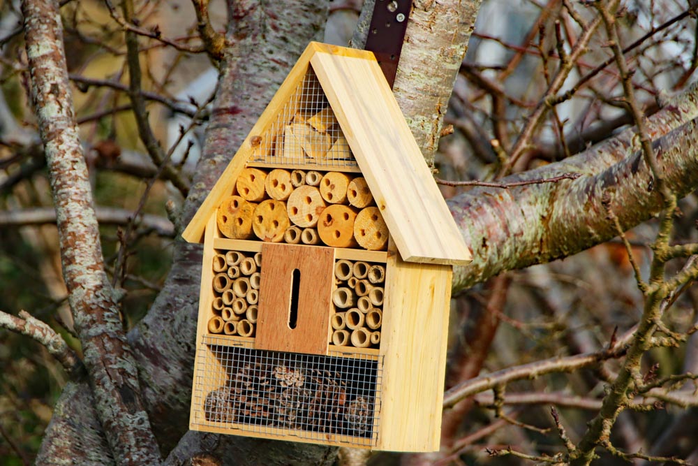 Bug hotel at the Hope Cottage allotments in Portsmouth.