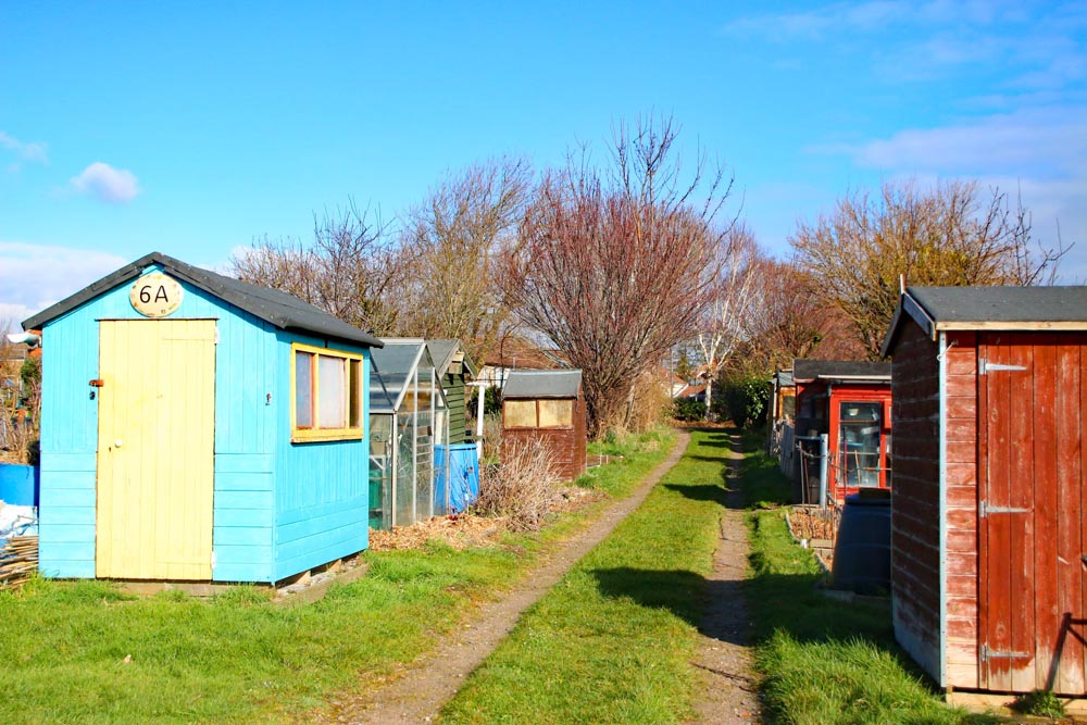 Sheds at the Hope Cottage allotment site.