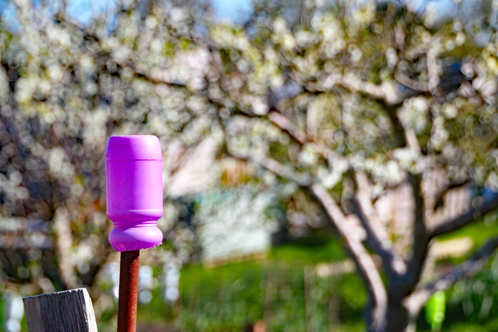 Eastney Lake allotments, Portsmouth.