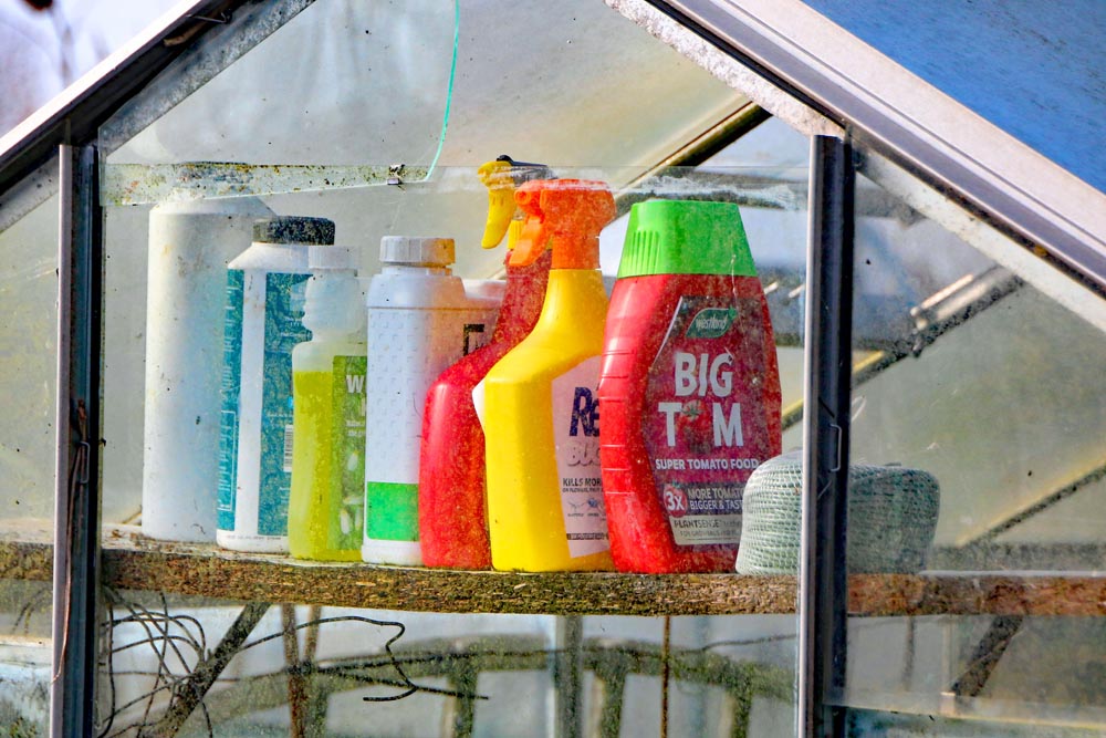 Greenhouse at Milton Piece allotments, Portsmouth.