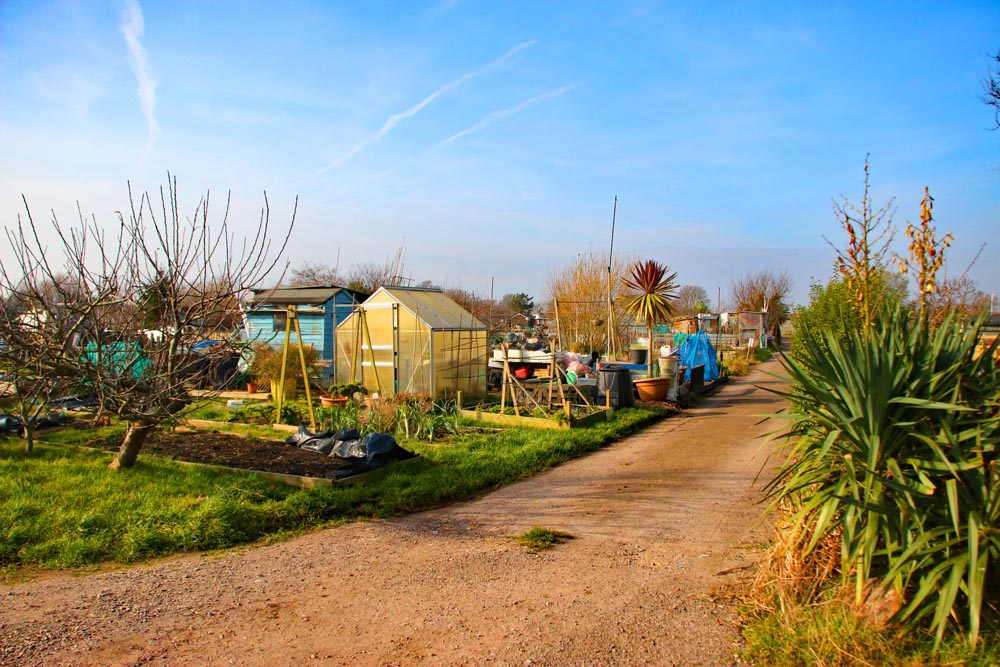 Milton Piece allotment site, Portsmouth.