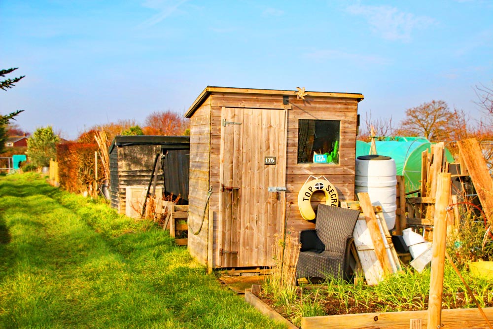 Sheds at Eastney and Milton allotments.